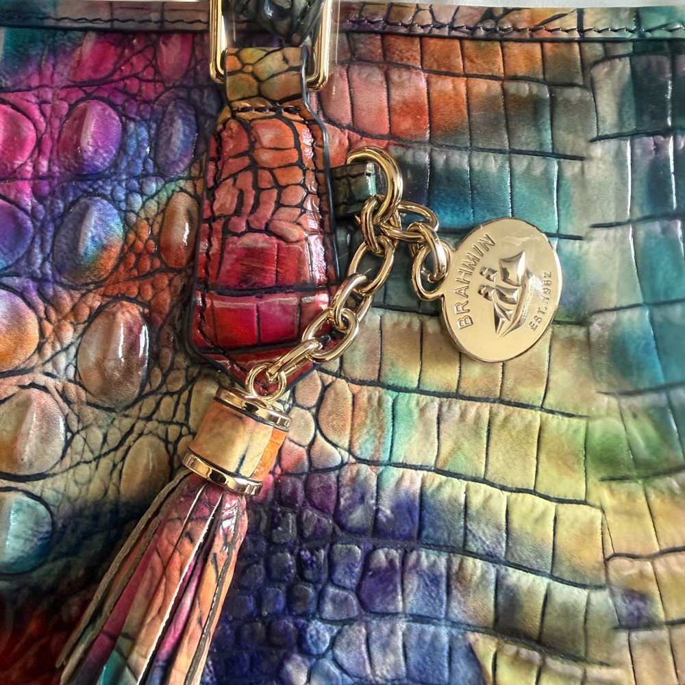 Rare BRAHMIN Awestruck Melbourne Medium Asher Leather Tote Bag Rainbow Multi HTF - Picture 5 of 14